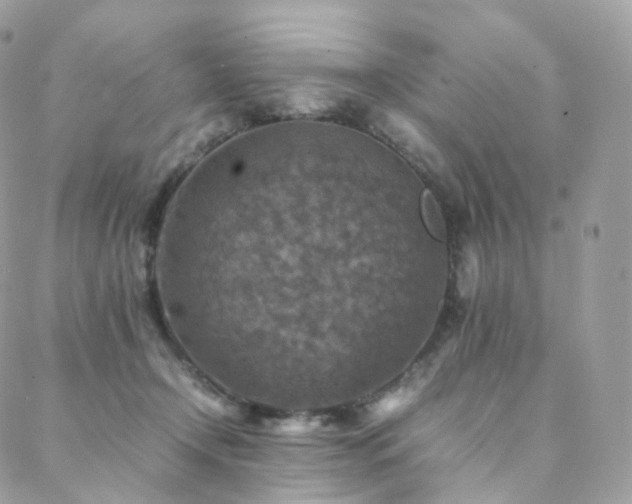 X0000088400366200705221129