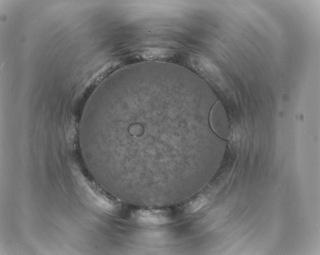 X0000088400367200705221129