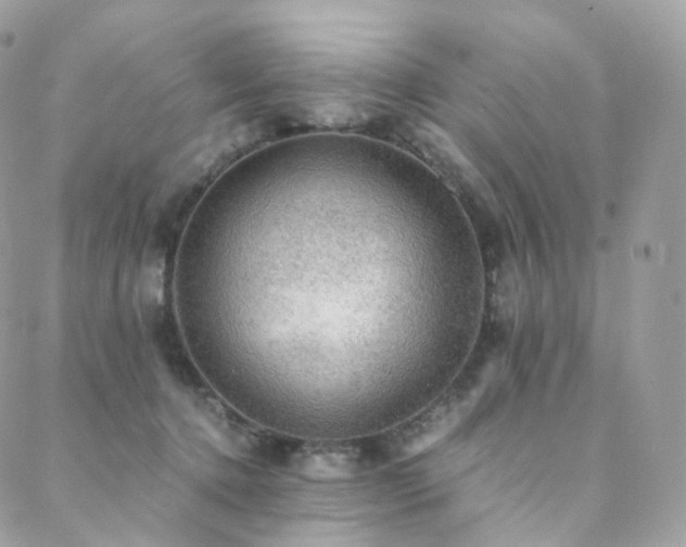 X0000088400368200705221129