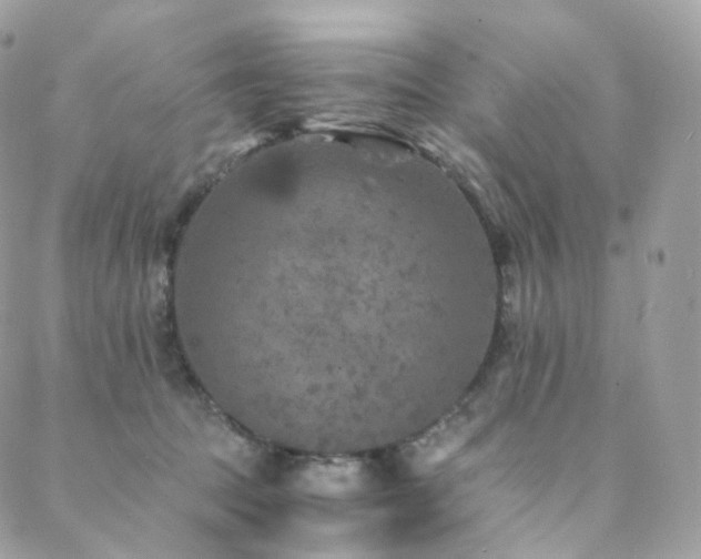 X0000088400369200705221129