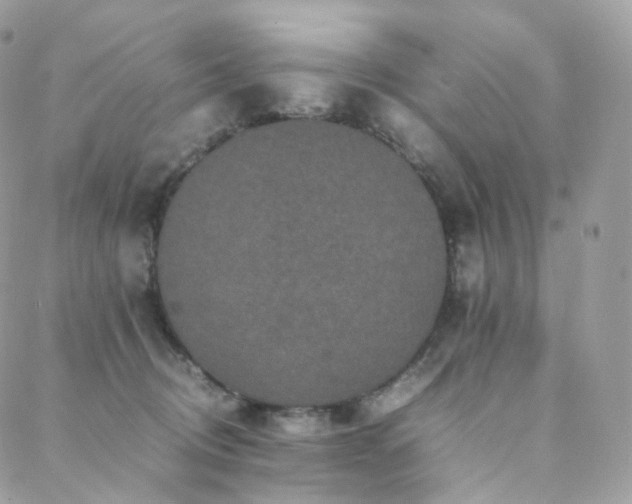 X0000088400370200705221129