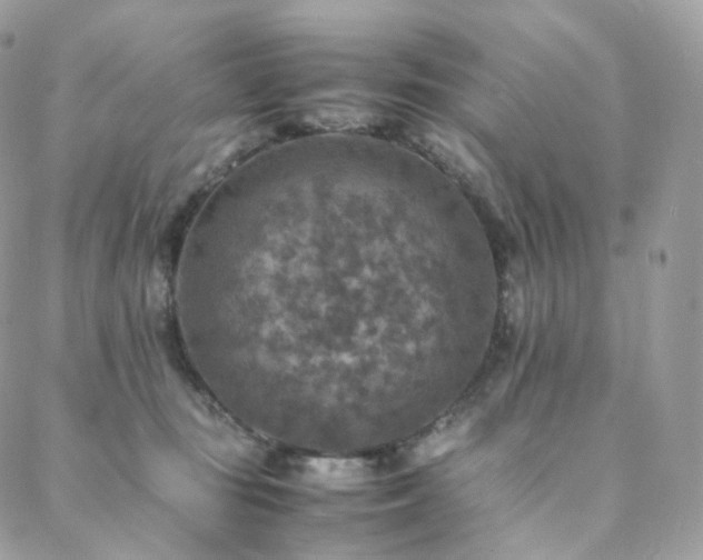 X0000088400371200705221129