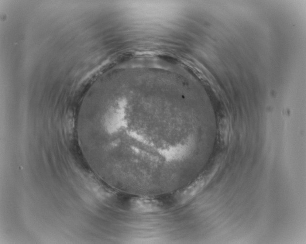 X0000088400372200705221129