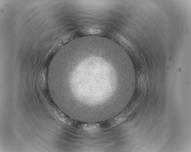 X0000088400373200705221129