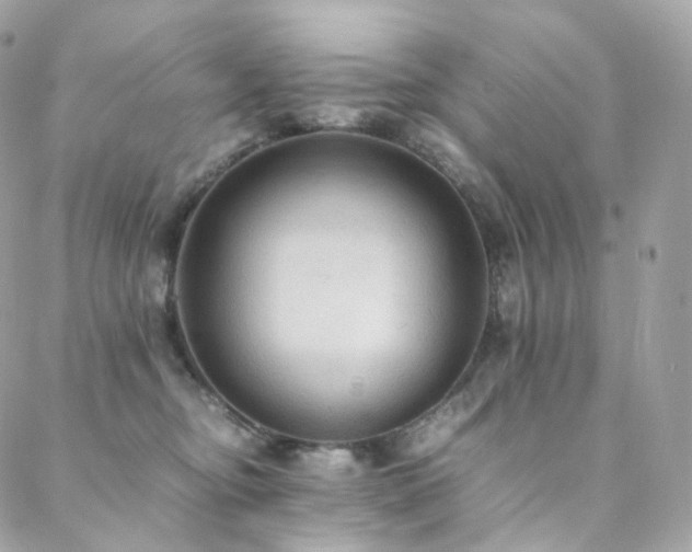 X0000088400374200705221129