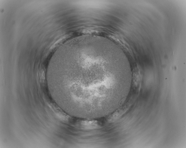 X0000088400375200705221129