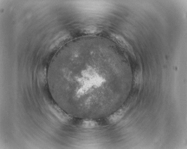 X0000088400376200705221129