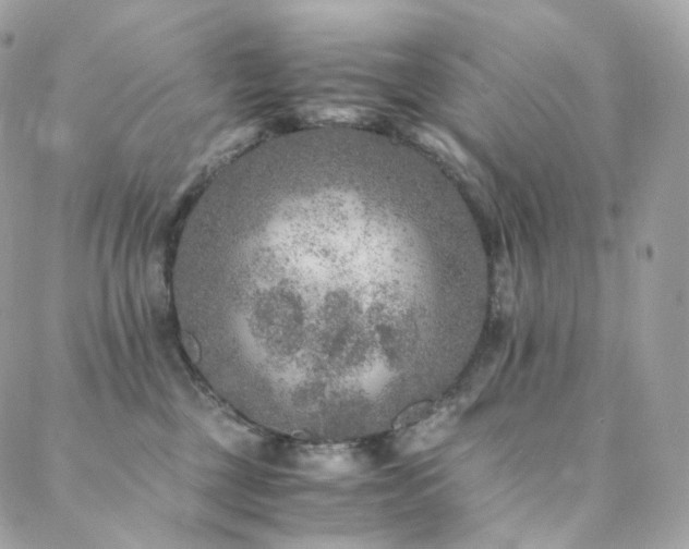 X0000088400377200705221129