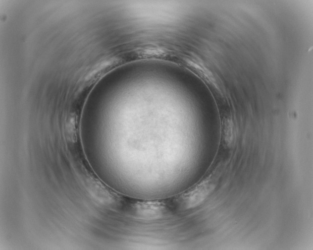 X0000088400378200705221129