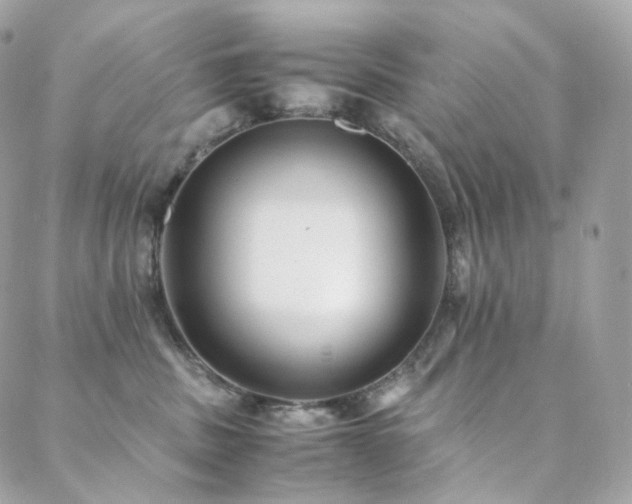 X0000088400379200705221129