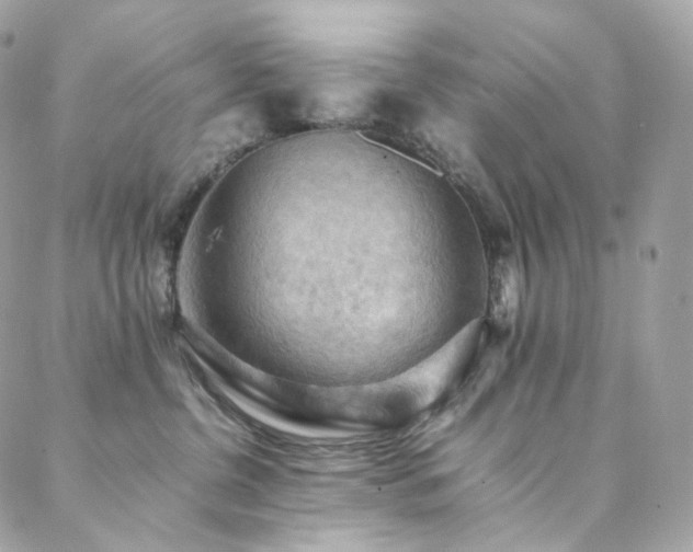 X0000088400380200705221129