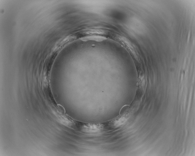 X0000088400381200705221129