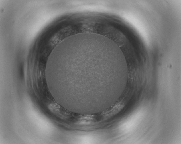 X0000088400382200705221129