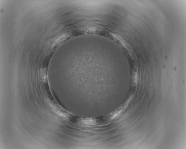 X0000088400383200705221129