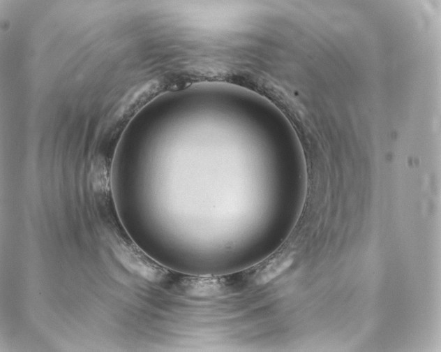 X0000088400384200705221129