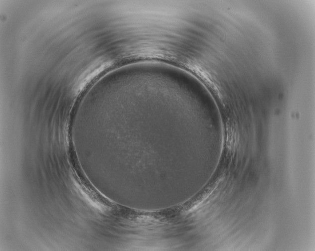 X0000088400390200705221128