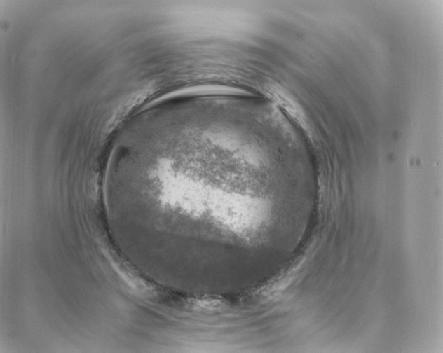 X0000088400401200705221128