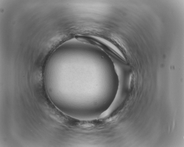 X0000088400407200705221128