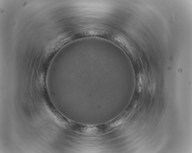 X0000088400410200705221128