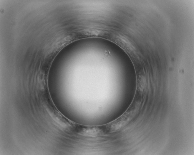 X0000088400414200705221128