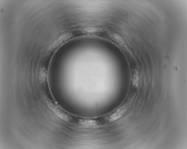 X0000088400476200705221127