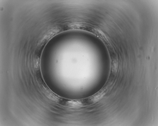 X0000088400477200705221127
