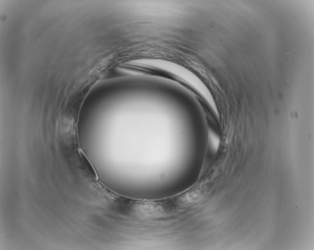 X0000088400521200705221126