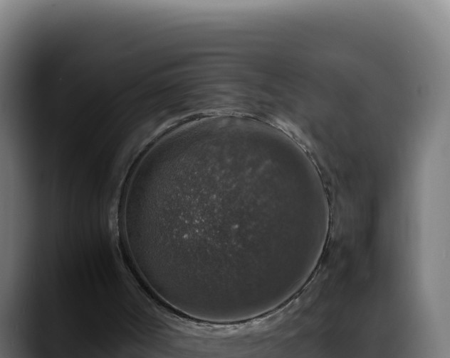 X0000088400002200705291438