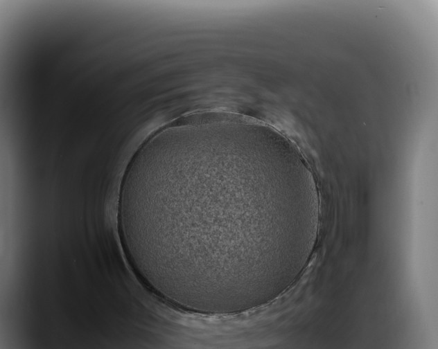 X0000088400003200705291438