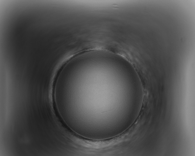 X0000088400006200705291438