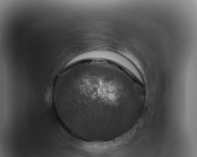 X0000088400009200705291438