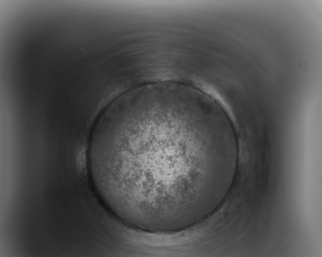 X0000088400010200705291438