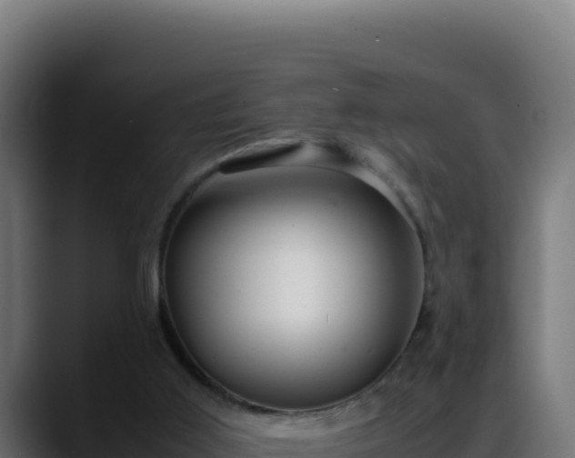 X0000088400011200705291438