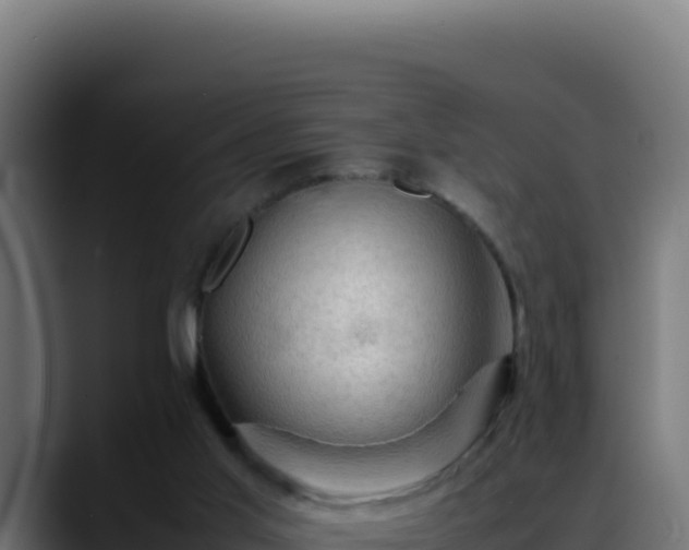 X0000088400013200705291438