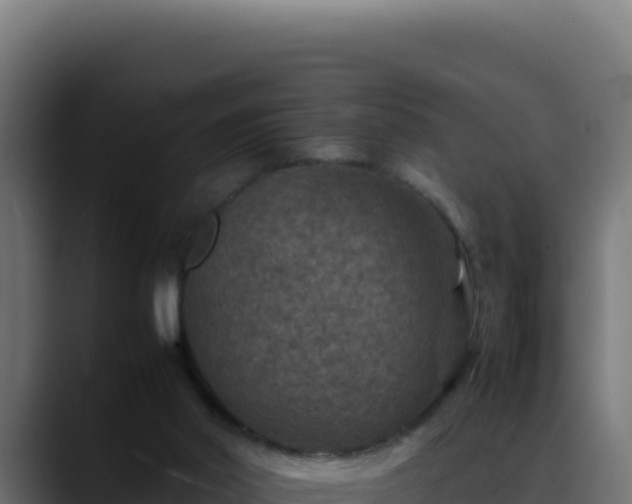 X0000088400014200705291438