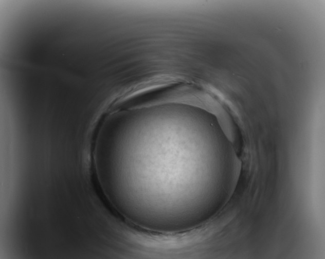 X0000088400015200705291438