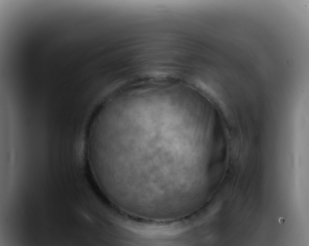 X0000088400016200705291438