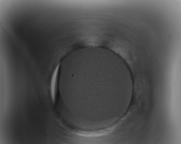 X0000088400017200705291438