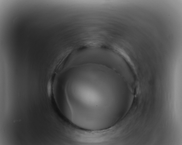 X0000088400019200705291438