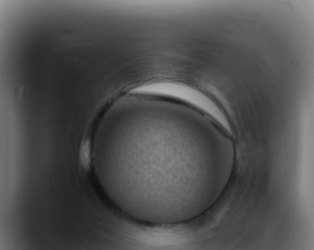 X0000088400020200705291438