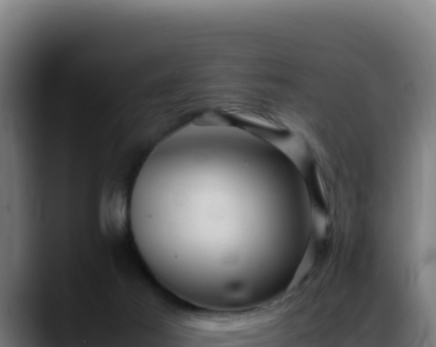 X0000088400021200705291438