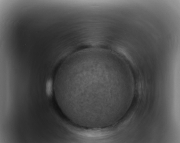 X0000088400024200705291438