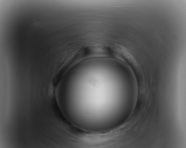 X0000088400025200705291438