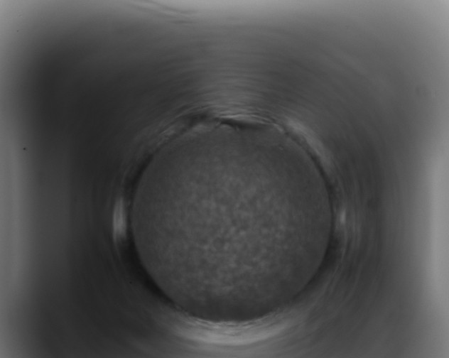 X0000088400026200705291438