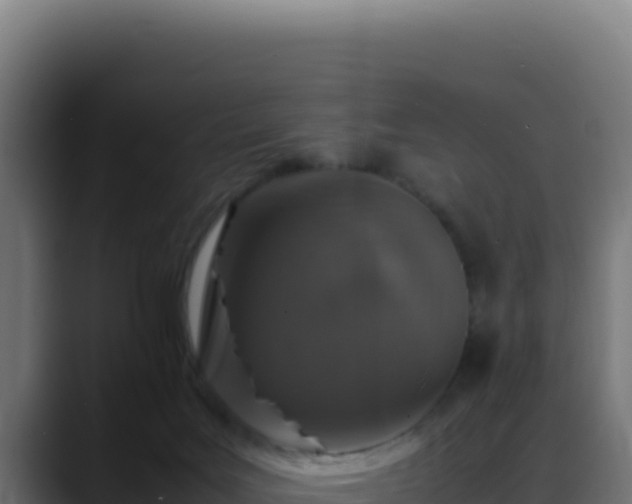 X0000088400027200705291438