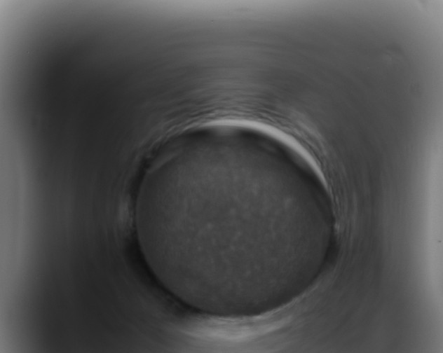 X0000088400029200705291438