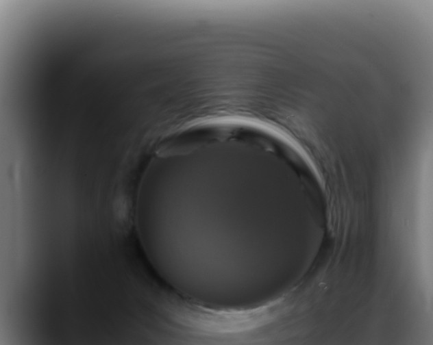 X0000088400031200705291438