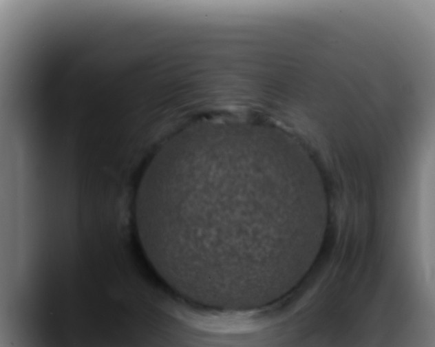 X0000088400032200705291438