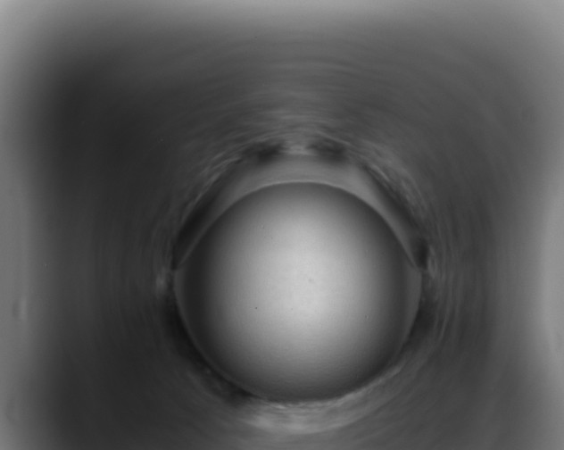 X0000088400033200705291438