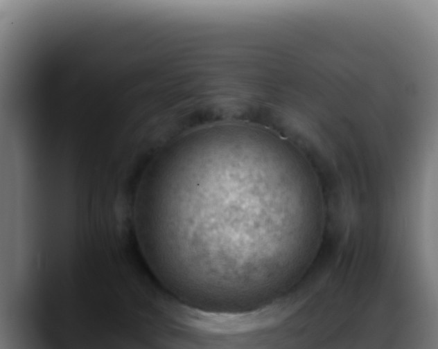 X0000088400034200705291438